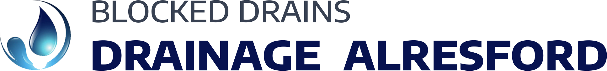 website logo